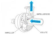 Panduan Pemilihan Pam Centrifugal